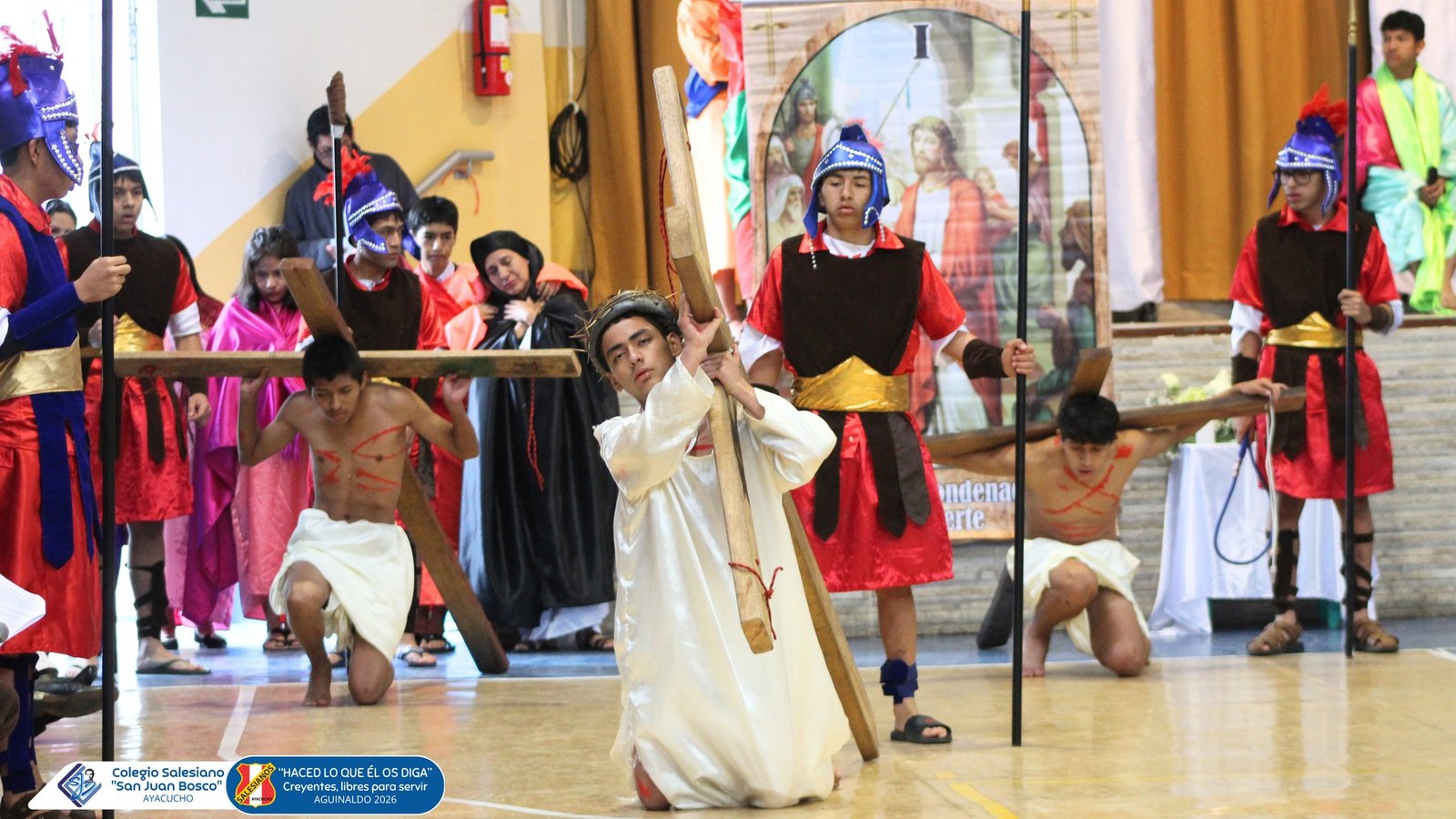 𝐀𝐲𝐚𝐜𝐮𝐜𝐡𝐨 𝐯𝐢𝐯𝐞 𝐬𝐮 𝐟𝐞